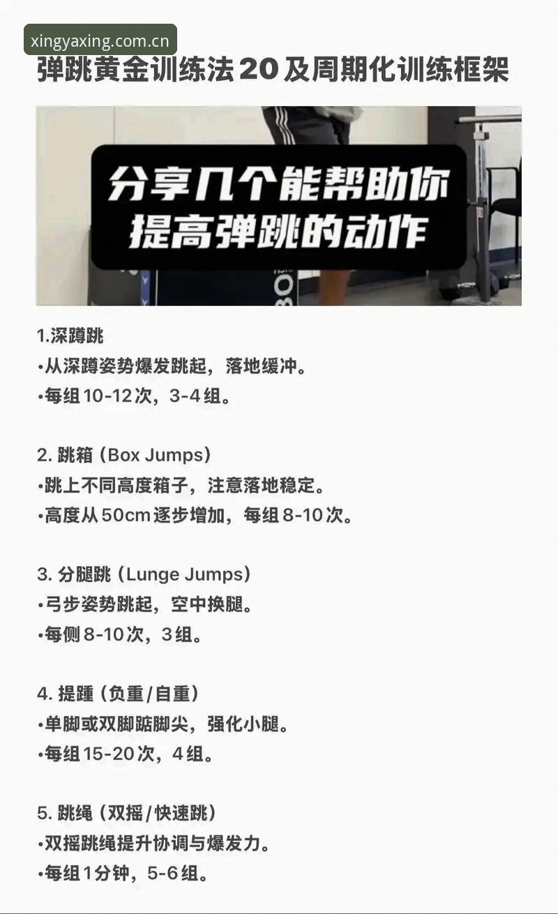 yaxing最新动态 亚星体育平台实战技巧:yaxing最新动态与高效使用必备知识