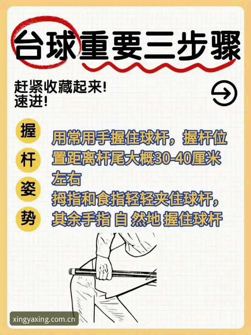 亚星体育平台最新动态教程实用指南——新手必备的操作技巧与问题解答